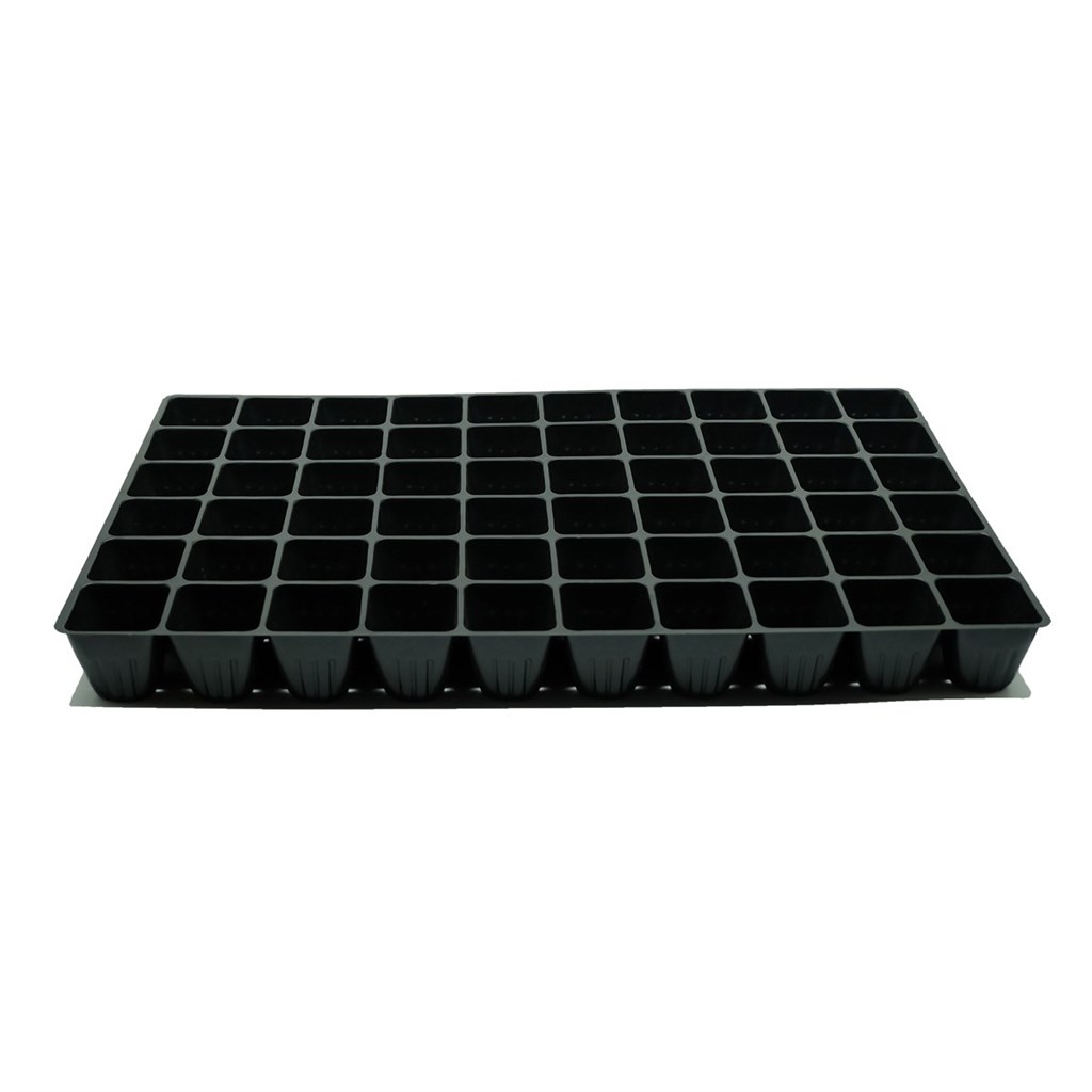 CONTENITORE ALVEOLI H CM 5,5 - 60 FORI